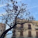 AUMSA logra ganancias de 1,22 millones en 2025 tras incrementar un 16% sus ingresos.